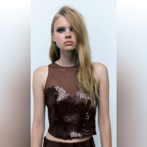 Zara Brown Sequin Tulle crop top NWT - Picture 2 of 13